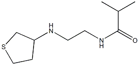 2-methyl-N-[2-(thiolan-3-ylamino)ethyl]propanamide 结构式