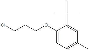 2-tert-butyl-1-(3-chloropropoxy)-4-methylbenzene 结构式