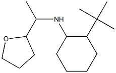 2-tert-butyl-N-[1-(oxolan-2-yl)ethyl]cyclohexan-1-amine 结构式