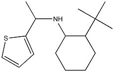 2-tert-butyl-N-[1-(thiophen-2-yl)ethyl]cyclohexan-1-amine 结构式