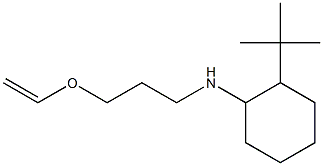 2-tert-butyl-N-[3-(ethenyloxy)propyl]cyclohexan-1-amine 结构式