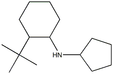 2-tert-butyl-N-cyclopentylcyclohexan-1-amine 结构式