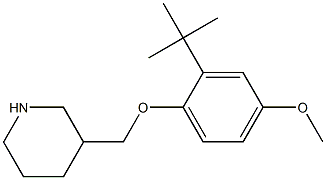 3-(2-tert-butyl-4-methoxyphenoxymethyl)piperidine 结构式