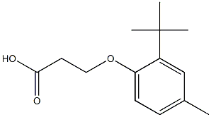 3-(2-tert-butyl-4-methylphenoxy)propanoic acid 结构式