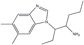 3-(5,6-dimethyl-1H-1,3-benzodiazol-1-yl)heptan-4-amine 结构式