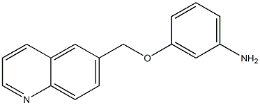 3-(quinolin-6-ylmethoxy)aniline 结构式