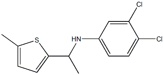 3,4-dichloro-N-[1-(5-methylthiophen-2-yl)ethyl]aniline 结构式