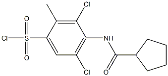 3,5-dichloro-4-cyclopentaneamido-2-methylbenzene-1-sulfonyl chloride 结构式