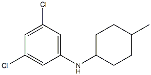 3,5-dichloro-N-(4-methylcyclohexyl)aniline 结构式