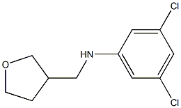 3,5-dichloro-N-(oxolan-3-ylmethyl)aniline 结构式
