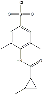 3,5-dimethyl-4-[(2-methylcyclopropane)amido]benzene-1-sulfonyl chloride 结构式