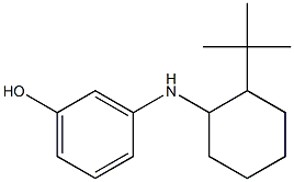 3-[(2-tert-butylcyclohexyl)amino]phenol 结构式