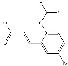 3-[5-bromo-2-(difluoromethoxy)phenyl]prop-2-enoic acid 结构式