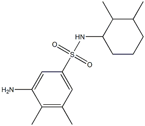 3-amino-N-(2,3-dimethylcyclohexyl)-4,5-dimethylbenzene-1-sulfonamide 结构式