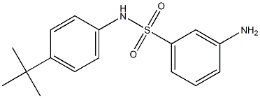 3-amino-N-(4-tert-butylphenyl)benzene-1-sulfonamide 结构式