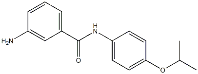 3-amino-N-[4-(propan-2-yloxy)phenyl]benzamide 结构式