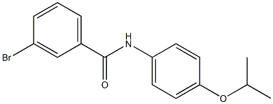 3-bromo-N-[4-(propan-2-yloxy)phenyl]benzamide 结构式