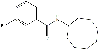 3-bromo-N-cyclooctylbenzamide 结构式