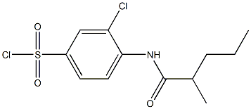 3-chloro-4-(2-methylpentanamido)benzene-1-sulfonyl chloride 结构式