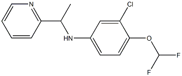 3-chloro-4-(difluoromethoxy)-N-[1-(pyridin-2-yl)ethyl]aniline 结构式