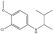 3-chloro-4-methoxy-N-(3-methylbutan-2-yl)aniline 结构式