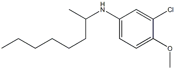 3-chloro-4-methoxy-N-(octan-2-yl)aniline 结构式