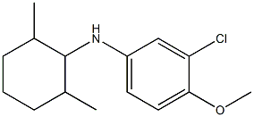 3-chloro-N-(2,6-dimethylcyclohexyl)-4-methoxyaniline 结构式