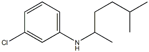 3-chloro-N-(5-methylhexan-2-yl)aniline 结构式