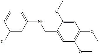 3-chloro-N-[(2,4,5-trimethoxyphenyl)methyl]aniline 结构式