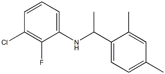 3-chloro-N-[1-(2,4-dimethylphenyl)ethyl]-2-fluoroaniline 结构式