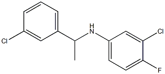 3-chloro-N-[1-(3-chlorophenyl)ethyl]-4-fluoroaniline 结构式