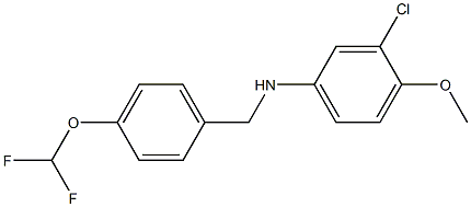 3-chloro-N-{[4-(difluoromethoxy)phenyl]methyl}-4-methoxyaniline 结构式