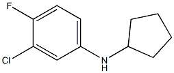 3-chloro-N-cyclopentyl-4-fluoroaniline 结构式