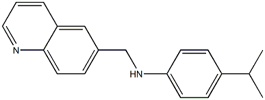 4-(propan-2-yl)-N-(quinolin-6-ylmethyl)aniline 结构式