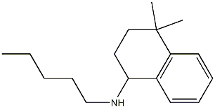 4,4-dimethyl-N-pentyl-1,2,3,4-tetrahydronaphthalen-1-amine 结构式