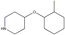 4-[(2-methylcyclohexyl)oxy]piperidine 结构式