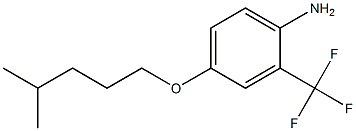 4-[(4-methylpentyl)oxy]-2-(trifluoromethyl)aniline 结构式