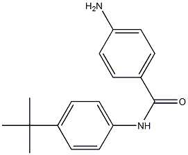 4-amino-N-(4-tert-butylphenyl)benzamide 结构式