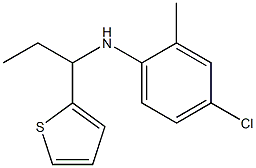 4-chloro-2-methyl-N-[1-(thiophen-2-yl)propyl]aniline 结构式