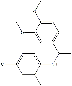 4-chloro-N-[1-(3,4-dimethoxyphenyl)ethyl]-2-methylaniline 结构式