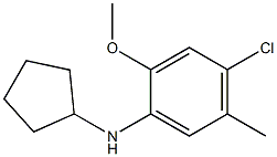 4-chloro-N-cyclopentyl-2-methoxy-5-methylaniline 结构式