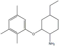 4-ethyl-2-(2,3,5-trimethylphenoxy)cyclohexan-1-amine 结构式