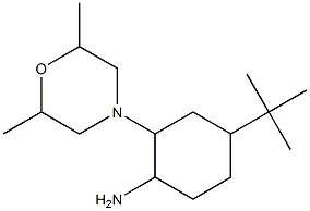 4-tert-Butyl-2-(2,6-dimethyl-morpholin-4-yl)-cyclohexylamine 结构式