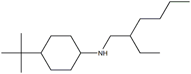 4-tert-butyl-N-(2-ethylhexyl)cyclohexan-1-amine 结构式