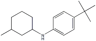 4-tert-butyl-N-(3-methylcyclohexyl)aniline 结构式