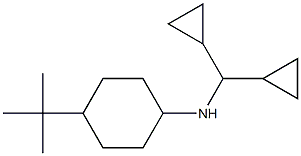 4-tert-butyl-N-(dicyclopropylmethyl)cyclohexan-1-amine 结构式