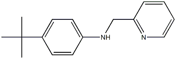 4-tert-butyl-N-(pyridin-2-ylmethyl)aniline 结构式