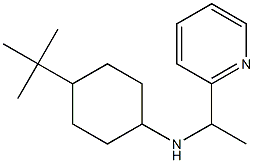 4-tert-butyl-N-[1-(pyridin-2-yl)ethyl]cyclohexan-1-amine 结构式