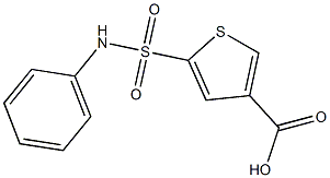 5-(phenylsulfamoyl)thiophene-3-carboxylic acid 结构式
