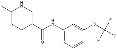 6-methyl-N-[3-(trifluoromethoxy)phenyl]piperidine-3-carboxamide 结构式